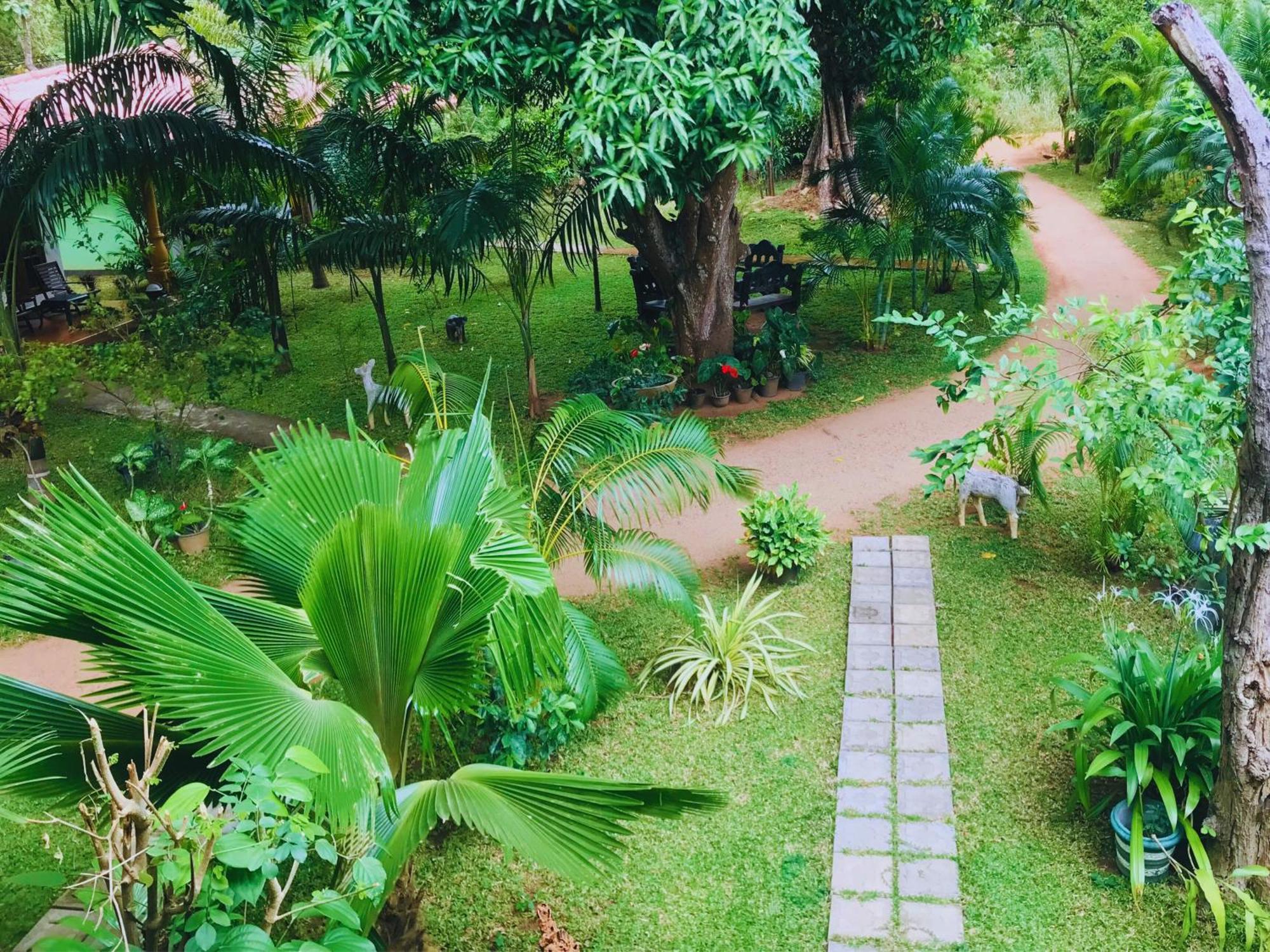 Sigiriya Ranasinghe Nature Villa מראה חיצוני תמונה